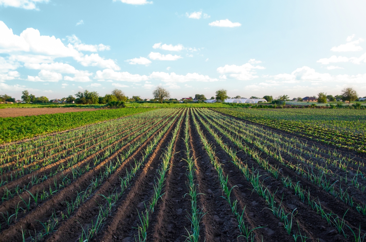 Wyr Farm - Ferme agricole moderne au Maroc